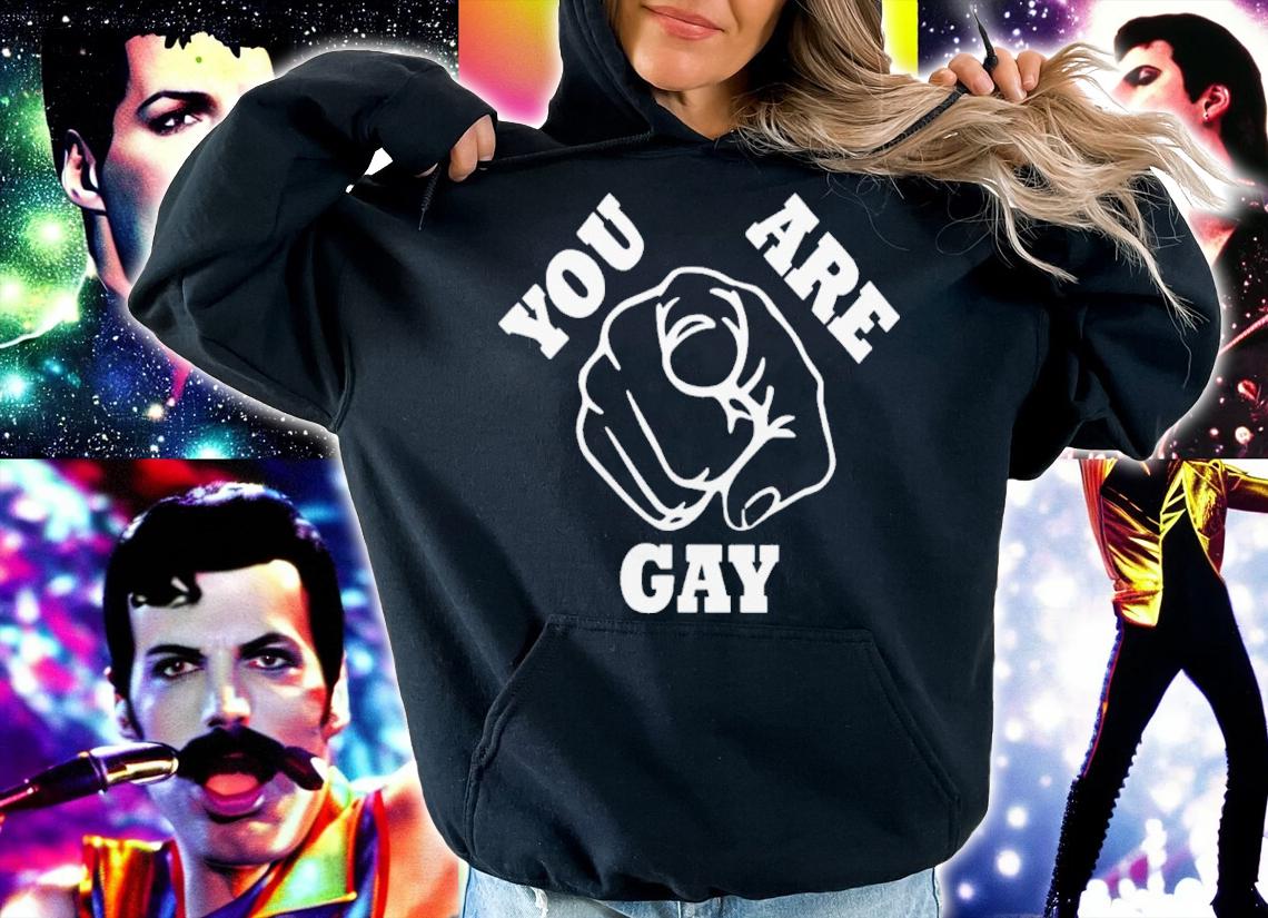 You Are Gay Shirt t-shirt