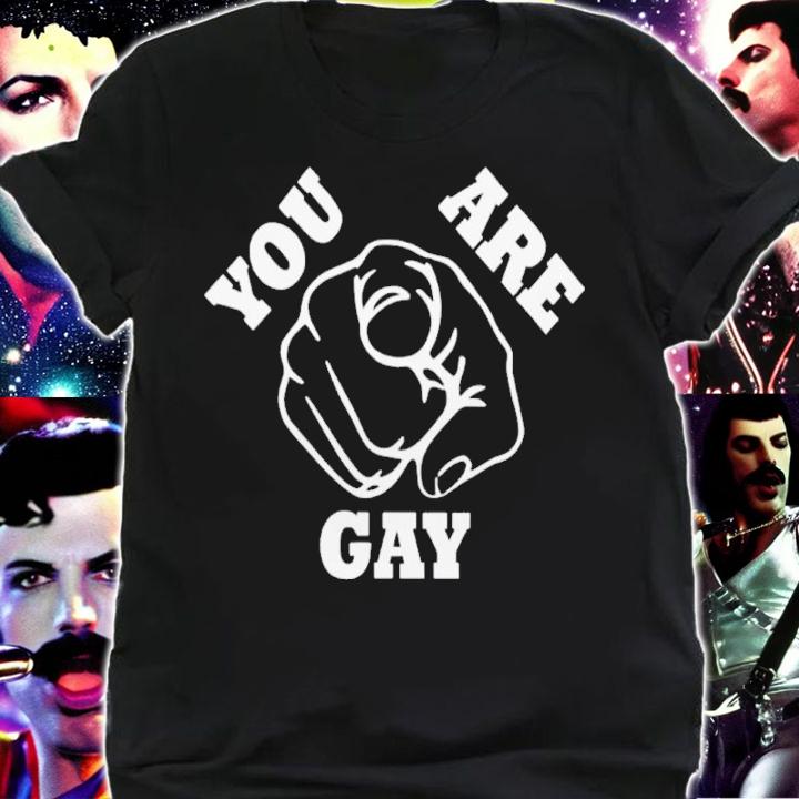 You Are Gay Shirt t-shirt